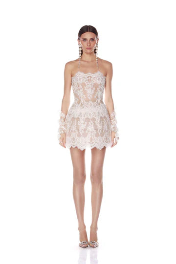 Bronx and Banco Paris Strapless Lace Mini dress Glasscock