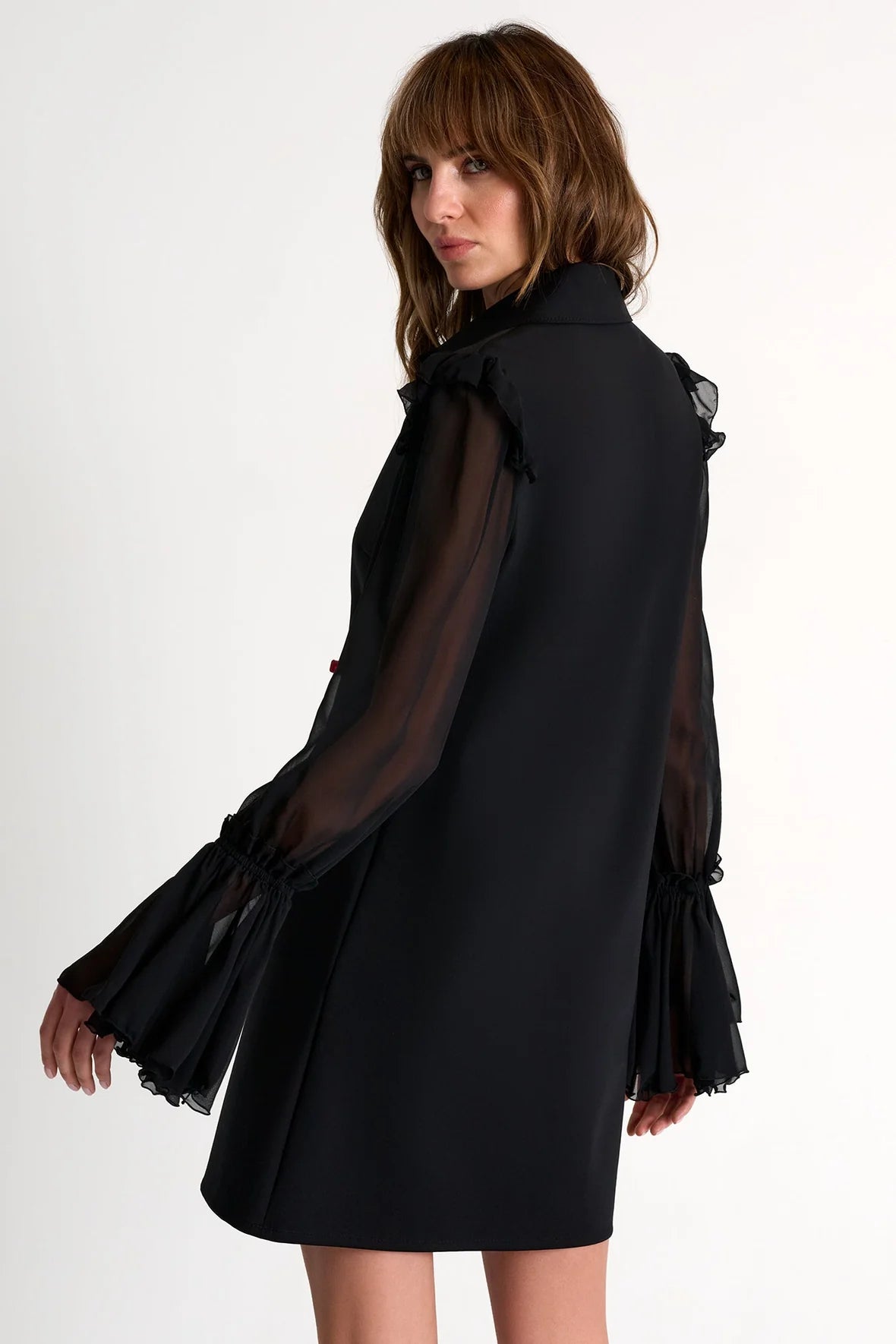 Shan Sophia Jersey Dress with Sheer Sleeves Glasscock Boutique